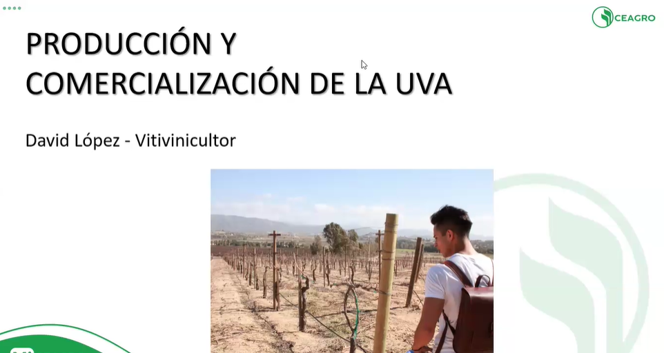 Producción y Comercialización Integral de la UVA